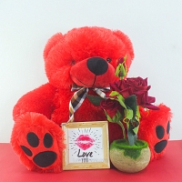 Plush Teddy Bear & Rose Gift Set
